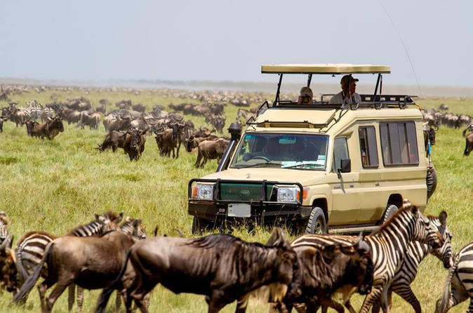 5 Day Tanzania Classic safari