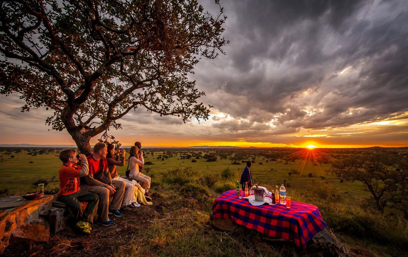 Tanzania safari experiences