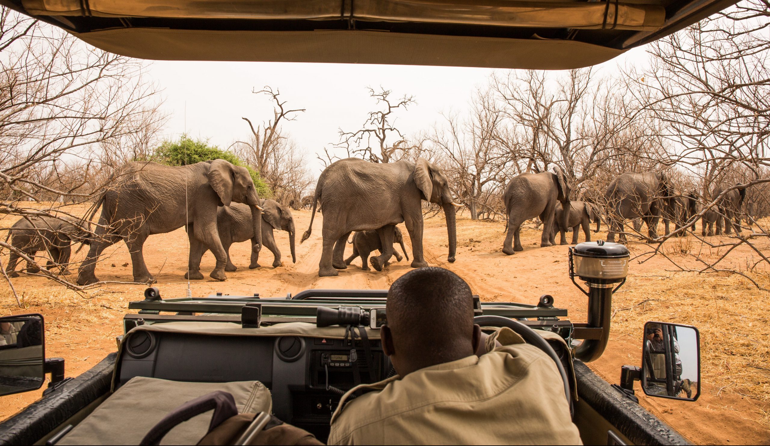 Tanzania Safaris & tours
