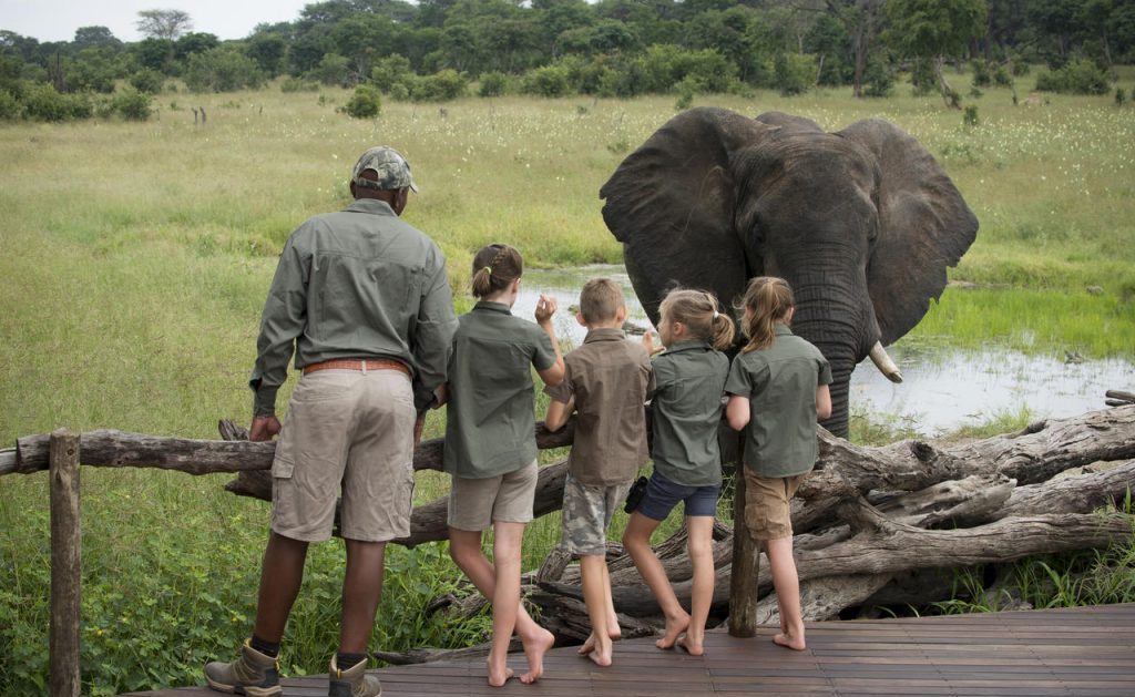 Tanzania Family Safaris